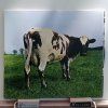 Pink Floyd – Atom Heart Mother CD