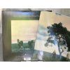 First Aid Kit ‎– Palomino LP white