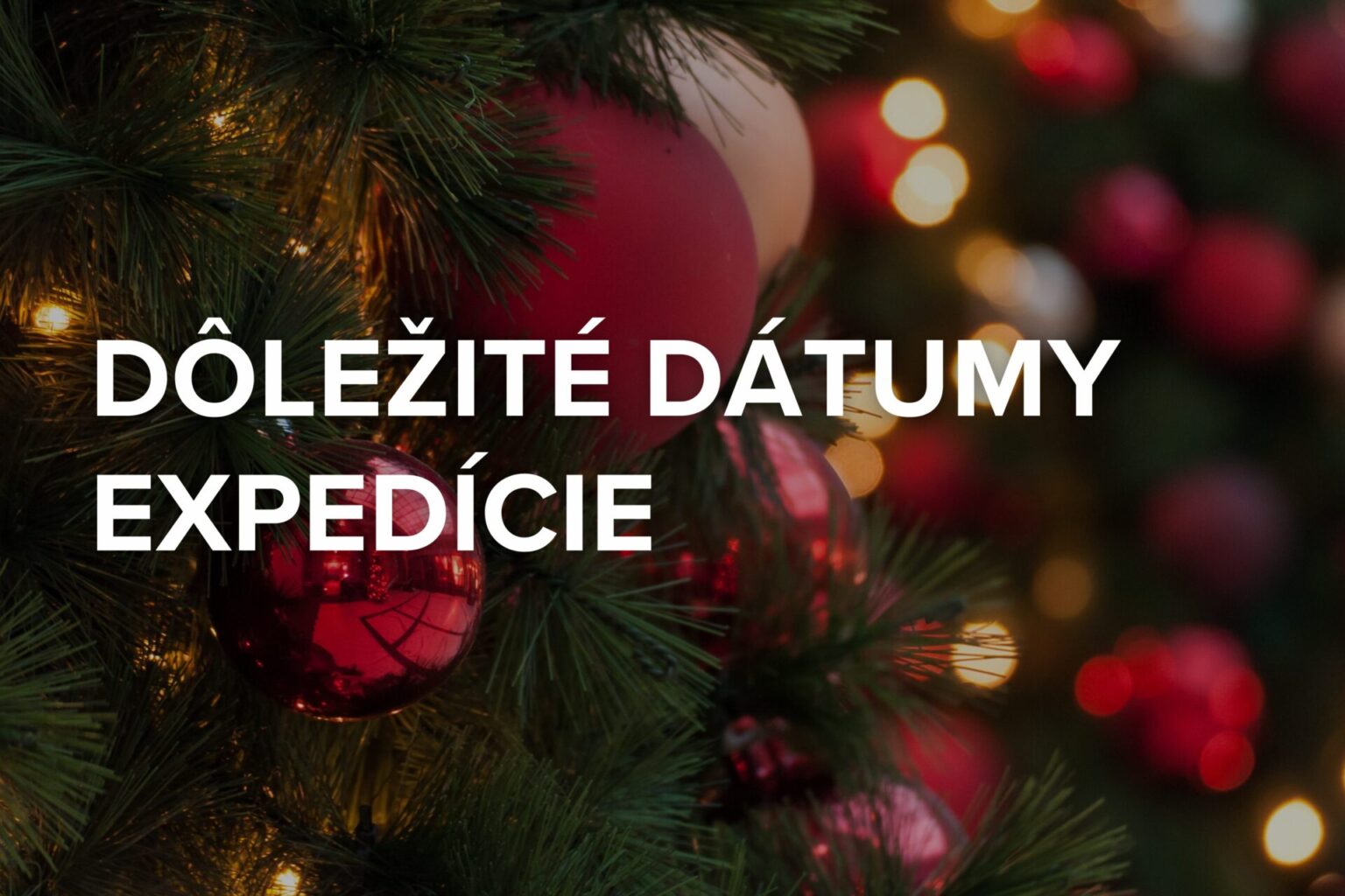 Vianoce: Dôležité informácie o posledných a prvých termínoch expedície