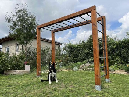 monkey bar a zebriny