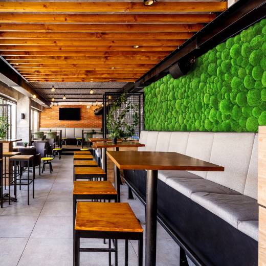 Stabilizovaný mech: přírodní krása a udržitelnost