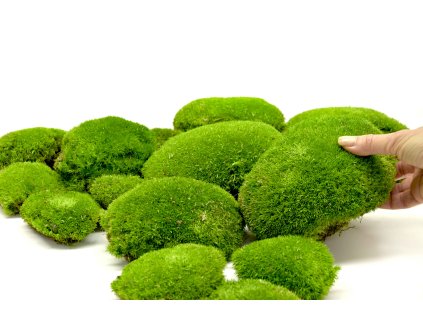 94275 stabilizovany kopeckovy mech ball moss canopy svetle zeleny 100 g