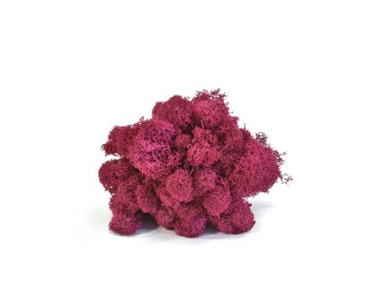 REINDEER MOSS PINK 6