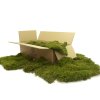 94320 stabilizovany mech long moss canopy zeleny 100g