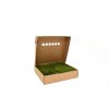94326 2 stabilizovany plochy mech flat moss canopy zeleny 100g