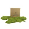 94329 stabilizovany skalni mech rock moss canopy zeleny 100 g