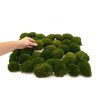 MINI MOUSSE BOULE NATUREGREEN 6 LIGHT