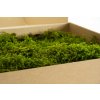 94332 1 stabilizovany hvezdny mech star moss canopy zeleny 100 g