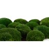 94314 stabilizovany kopeckovy mech ball moss canopy prirodne zeleny 100 g