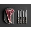 Sada 4 nožů na steaky Classic Colour 12 cm Velvet Oyster
