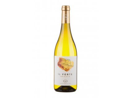 Gavi IL Forte Produttori del Gavi 0,7 l  DOCG