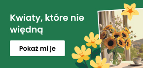 category_banner_big_mobile