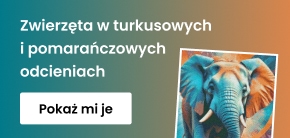 category_banner_big_mobile