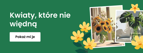 homepage_banner_right