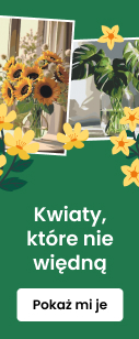 category_banner_small_mobile