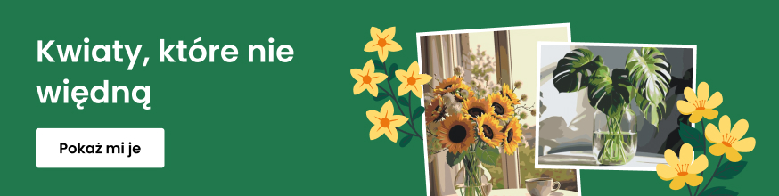 category_banner_big