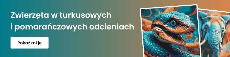category_banner_big