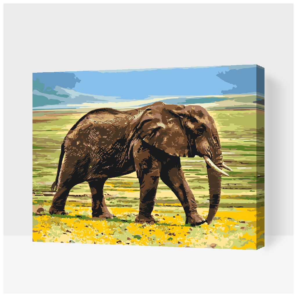 Malowanie po numerach - Safari - Słoń