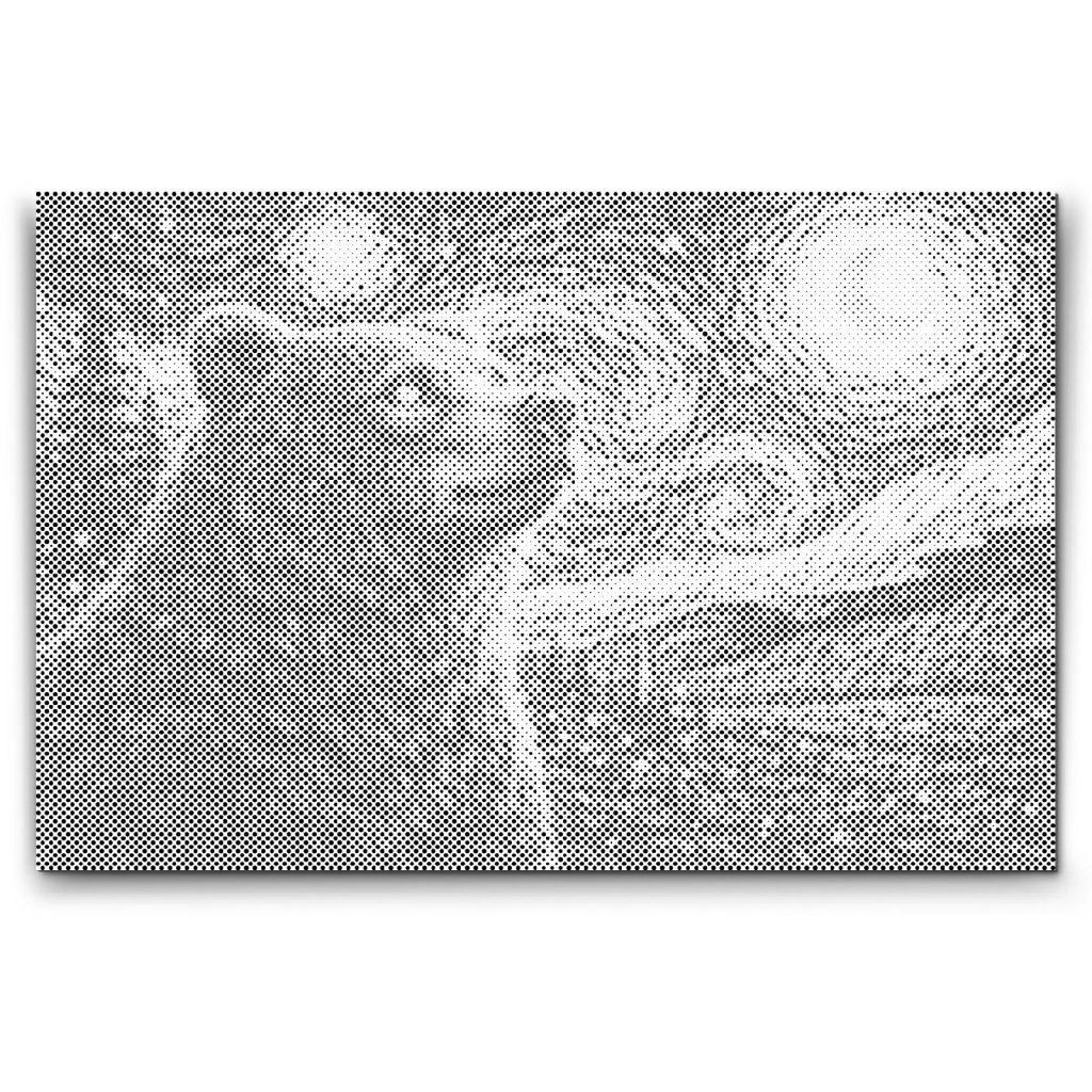 Kropkowanie_Vincent_Van_Gogh_-_Gwiazdzista_noc_i_niedzwiedz_M2