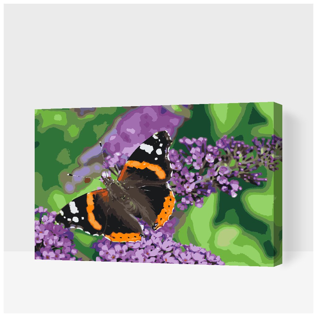 Malowanie po numerach - Motyl na fioletowym kwiecie