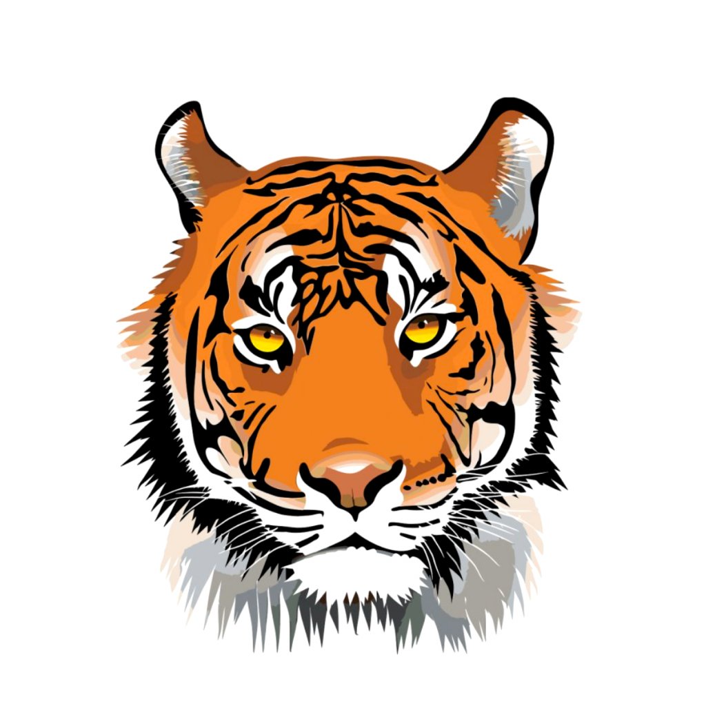 Malowanie po numerach - Głowa tygrysa