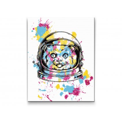 Malowanie diamentowe - NASA kot