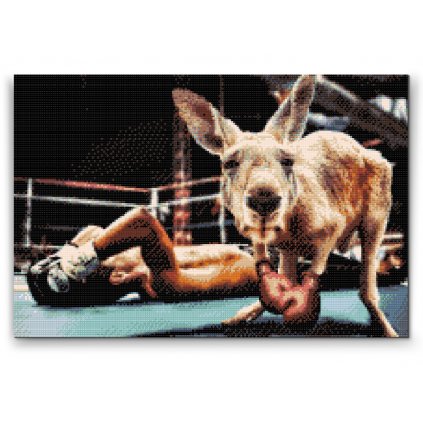 Malowanie diamentowe - Kangur na ringu