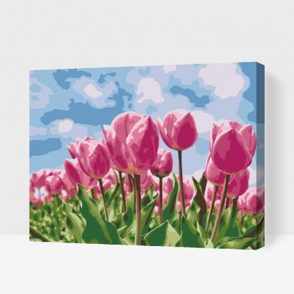Malowanie po numerach - Różowe tulipany