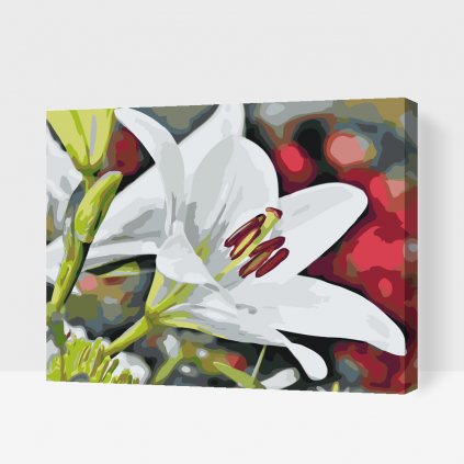 Malowanie po numerach - Biała lilia