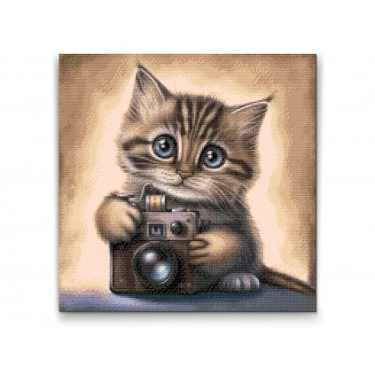 Haft diamentowy - Kotek z aparatem
