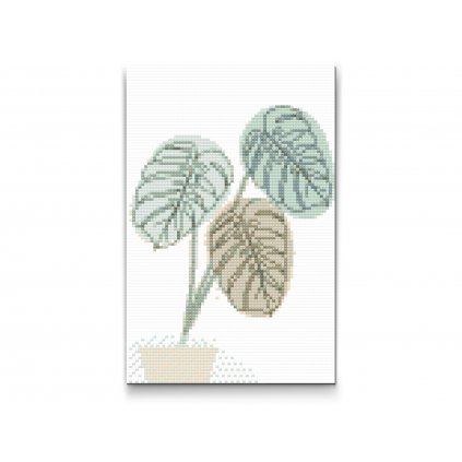 Haft diamentowy - Boho monstera 2