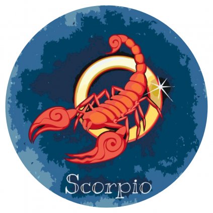 Malowanie po numerach - Skorpion/Scorpio