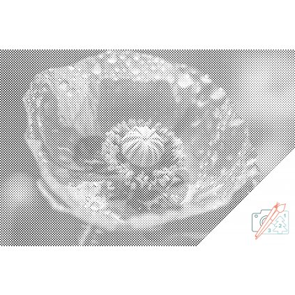 Kropkowanie - Kwiat maku