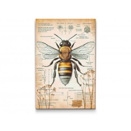 Haft diamentowy - Wszystko o pszczołach
