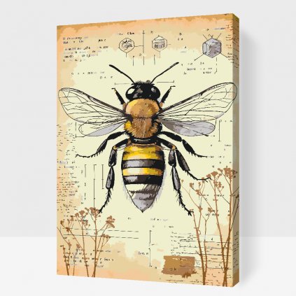 Malowanie po numerach - Wszystko o pszczołach
