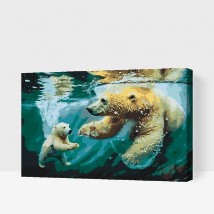 Malowanie po numerach - Kąpiel niedźwiedzia polarnego