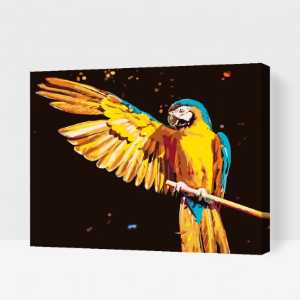 Malowanie po numerach - Papuga ara niebiesko żółta