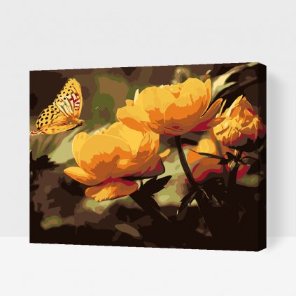 Malowanie po numerach - Motyl z kwiatami