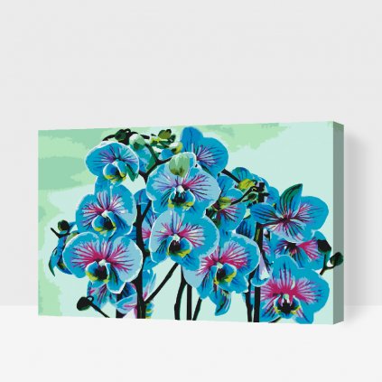 Malowanie po numerach - Niebieska Orchidea