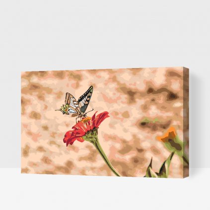 Malowanie po numerach - Motyl na czerwonym kwiecie