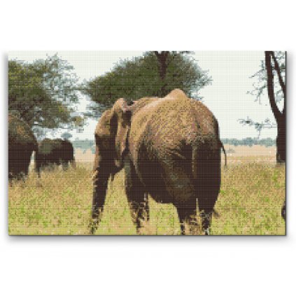 Malowanie diamentowe - Park Narodowy Serengeti