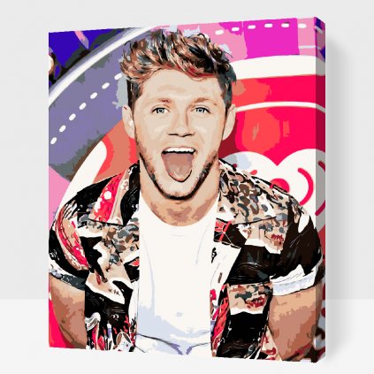 Malowanie po numerach - Niall Horan 1