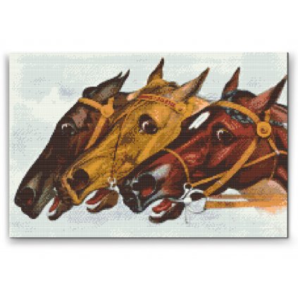 Malowanie diamentowe - Konie wyścigowe
