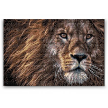 Malowanie diamentowe - Drapieżny wygląd lwa