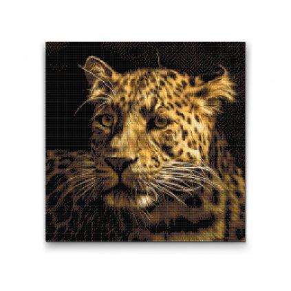 Malowanie diamentowe - Jaguar