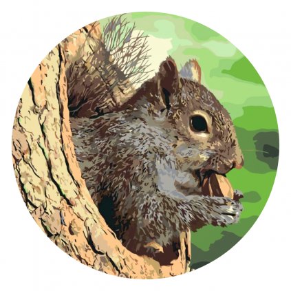 Malowanie po numerach - Wiewiórka na drzewie