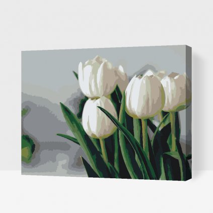 Malowanie po numerach - Białe tulipany