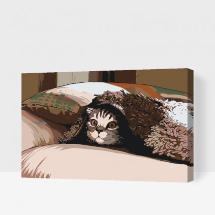 Malowanie po numerach - Kotek pod poduszką