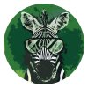 Malowanie po numerach - Zebra w okularach