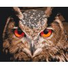 Malowanie po numerach - Sowa2